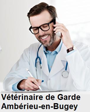 Urgence vétérinaire de garde à Ambérieu-en-Bugey () aujourd'hui pour urgence 24h/24h et 7j/7j, jours fériés, nuit et dimanche.