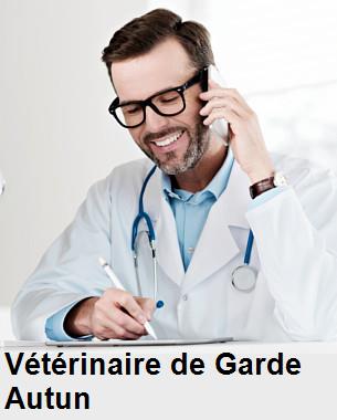 Urgence vétérinaire de garde à Autun () aujourd'hui pour urgence 24h/24h et 7j/7j, jours fériés, nuit et dimanche.