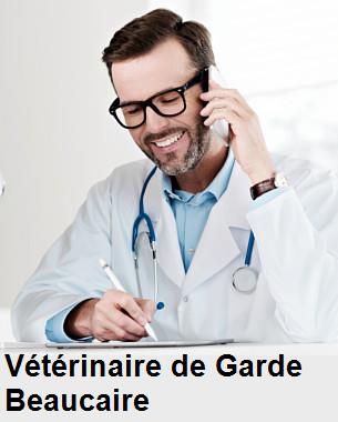 Urgence vétérinaire de garde à Beaucaire () aujourd'hui pour urgence 24h/24h et 7j/7j, jours fériés, nuit et dimanche.