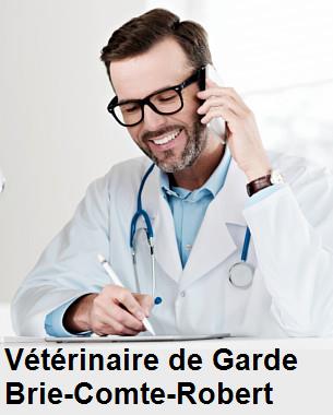Urgence vétérinaire de garde à Brie-Comte-Robert () aujourd'hui pour urgence 24h/24h et 7j/7j, jours fériés, nuit et dimanche.