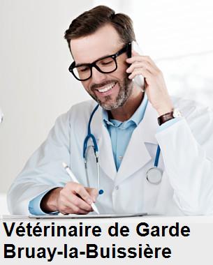 Urgence vétérinaire de garde à Bruay-la-Buissière () aujourd'hui pour urgence 24h/24h et 7j/7j, jours fériés, nuit et dimanche.