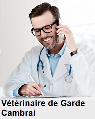 Urgence vétérinaire de garde à Cambrai () aujourd'hui pour urgence 24h/24h et 7j/7j, jours fériés, nuit et dimanche.