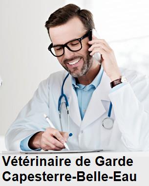 Urgence vétérinaire de garde à Capesterre-Belle-Eau () aujourd'hui pour urgence 24h/24h et 7j/7j, jours fériés, nuit et dimanche.