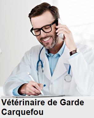Urgence vétérinaire de garde à Carquefou () aujourd'hui pour urgence 24h/24h et 7j/7j, jours fériés, nuit et dimanche.