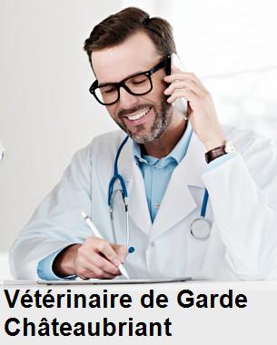 Urgence vétérinaire de garde à Châteaubriant () aujourd'hui pour urgence 24h/24h et 7j/7j, jours fériés, nuit et dimanche.