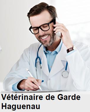 Urgence vétérinaire de garde à Haguenau () aujourd'hui pour urgence 24h/24h et 7j/7j, jours fériés, nuit et dimanche.