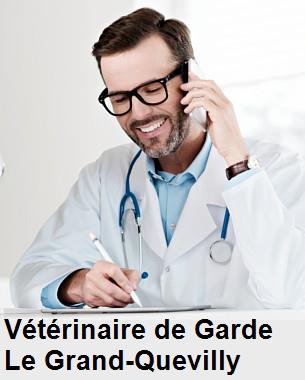Urgence vétérinaire de garde à Le Grand-Quevilly () aujourd'hui pour urgence 24h/24h et 7j/7j, jours fériés, nuit et dimanche.