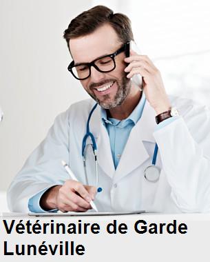 Urgence vétérinaire de garde à Lunéville () aujourd'hui pour urgence 24h/24h et 7j/7j, jours fériés, nuit et dimanche.