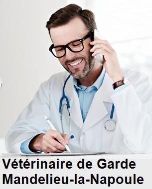 Urgence vétérinaire de garde à Mandelieu-la-Napoule () aujourd'hui pour urgence 24h/24h et 7j/7j, jours fériés, nuit et dimanche.