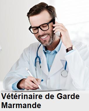Urgence vétérinaire de garde à Marmande () aujourd'hui pour urgence 24h/24h et 7j/7j, jours fériés, nuit et dimanche.