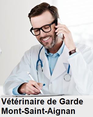 Urgence vétérinaire de garde à Mont-Saint-Aignan () aujourd'hui pour urgence 24h/24h et 7j/7j, jours fériés, nuit et dimanche.
