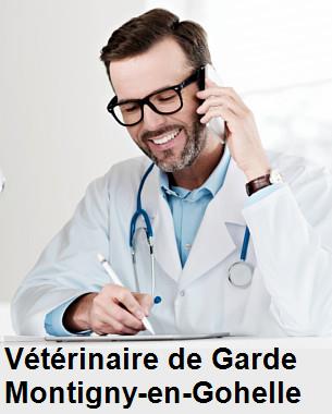 Urgence vétérinaire de garde à Montigny-en-Gohelle () aujourd'hui pour urgence 24h/24h et 7j/7j, jours fériés, nuit et dimanche.