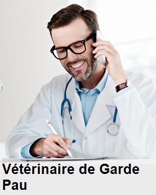 Urgence vétérinaire de garde à Pau () aujourd'hui pour urgence 24h/24h et 7j/7j, jours fériés, nuit et dimanche.