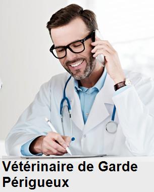 Urgence vétérinaire de garde à Périgueux () aujourd'hui pour urgence 24h/24h et 7j/7j, jours fériés, nuit et dimanche.