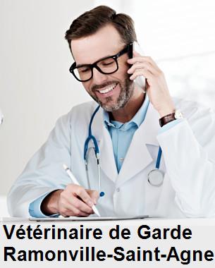 Urgence vétérinaire de garde à Ramonville-Saint-Agne () aujourd'hui pour urgence 24h/24h et 7j/7j, jours fériés, nuit et dimanche.