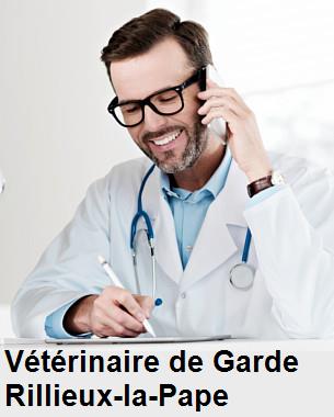 Urgence vétérinaire de garde à Rillieux-la-Pape () aujourd'hui pour urgence 24h/24h et 7j/7j, jours fériés, nuit et dimanche.