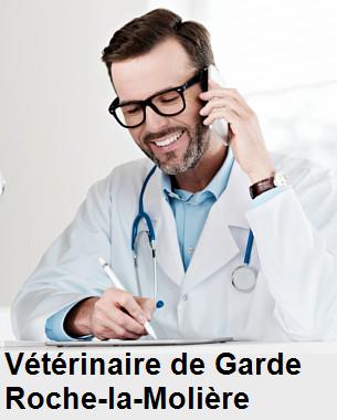 Urgence vétérinaire de garde à Roche-la-Molière () aujourd'hui pour urgence 24h/24h et 7j/7j, jours fériés, nuit et dimanche.