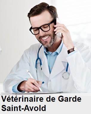 Urgence vétérinaire de garde à Saint-Avold () aujourd'hui pour urgence 24h/24h et 7j/7j, jours fériés, nuit et dimanche.