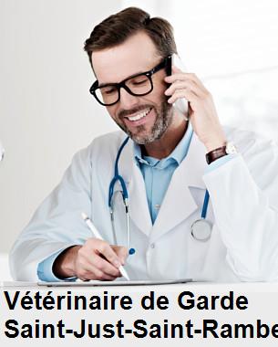 Urgence vétérinaire de garde à Saint-Just-Saint-Rambert () aujourd'hui pour urgence 24h/24h et 7j/7j, jours fériés, nuit et dimanche.