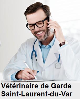 Urgence vétérinaire de garde à Saint-Laurent-du-Var () aujourd'hui pour urgence 24h/24h et 7j/7j, jours fériés, nuit et dimanche.