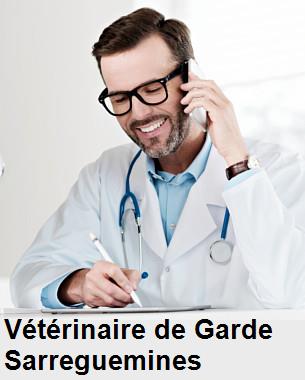 Urgence vétérinaire de garde à Sarreguemines () aujourd'hui pour urgence 24h/24h et 7j/7j, jours fériés, nuit et dimanche.