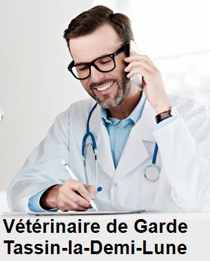 Urgence vétérinaire de garde à Tassin-la-Demi-Lune () aujourd'hui pour urgence 24h/24h et 7j/7j, jours fériés, nuit et dimanche.