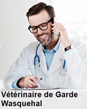 Urgence vétérinaire de garde à Wasquehal () aujourd'hui pour urgence 24h/24h et 7j/7j, jours fériés, nuit et dimanche.