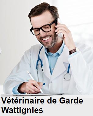 Urgence vétérinaire de garde à Wattignies () aujourd'hui pour urgence 24h/24h et 7j/7j, jours fériés, nuit et dimanche.